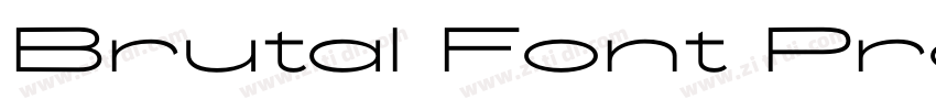Brutal Font Pro字体转换